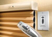 Window Blinds and Shades from GatorWindowBlinds.com