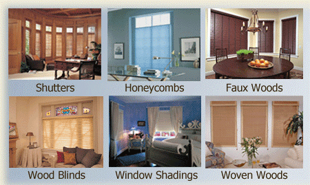Window Blinds and Shades from GatorWindowBlinds.com